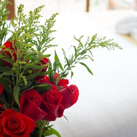 Ilalo Garden Hotel & Restaurant Quito Zewnętrze zdjęcie