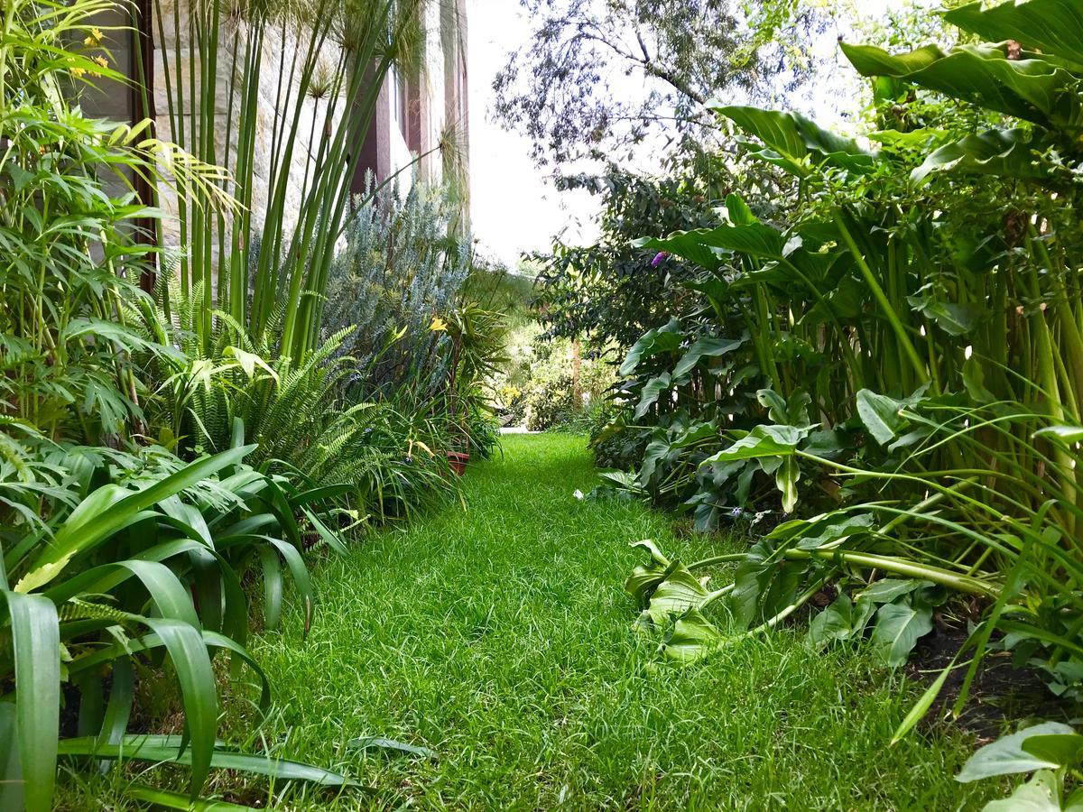 Ilalo Garden Hotel & Restaurant Quito Zewnętrze zdjęcie