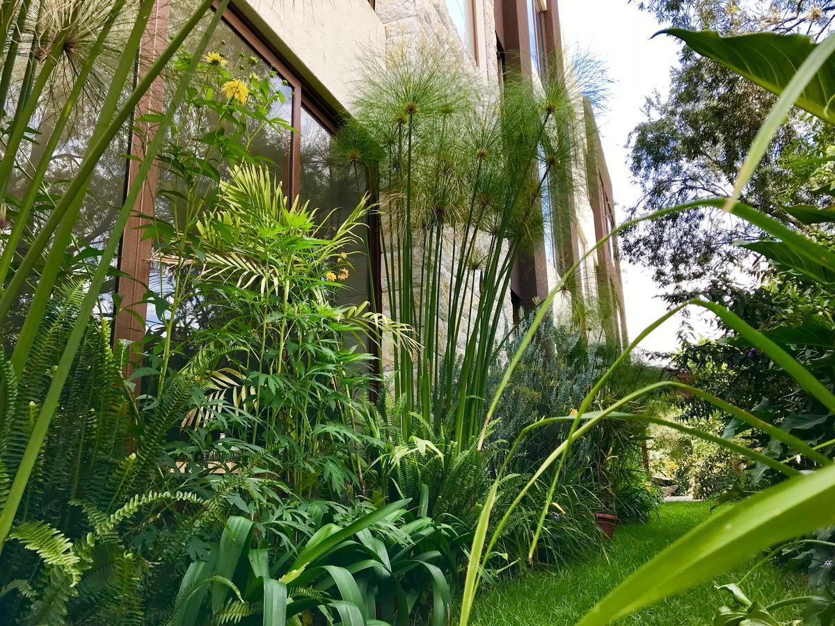 Ilalo Garden Hotel & Restaurant Quito Zewnętrze zdjęcie